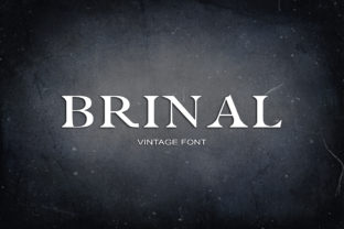 Brinal Font for Creative Projects