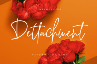 Dettachment Font for Business Branding