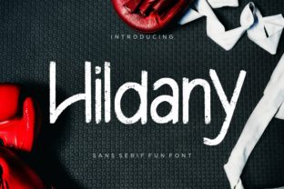Hildany Font: Modern Typography
