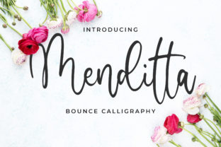 Menditta Font for Web Design