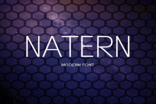 Natern: A Modern Font for Business Growth