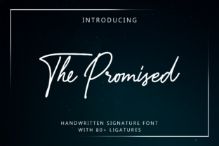The Promised Font: A Charming Choice for Digital Campaigns